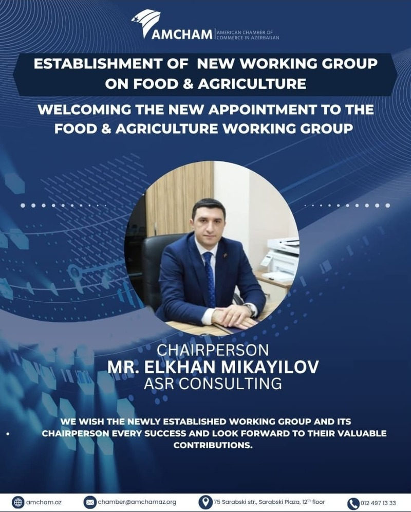 Elxan Mikayılov AMCHAM təyinatı