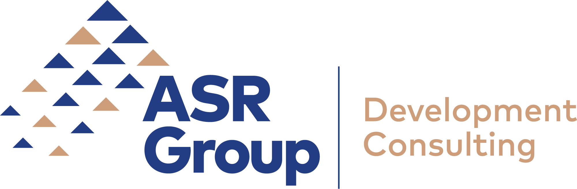 ASR Development Consulting Group